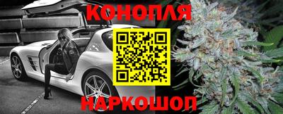apvp Гагарин