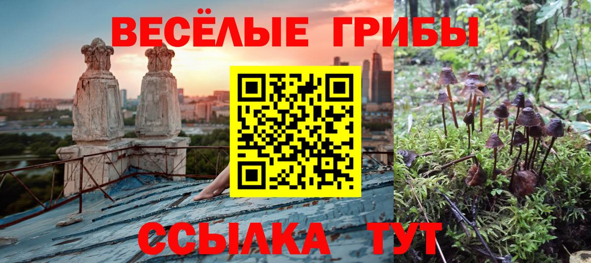 Псилоцибиновые грибы Psilocybe  Псилоцибиновые грибы ЛСД  Вход с VPN  магазин продажи наркотиков  Горно-Алтайск 